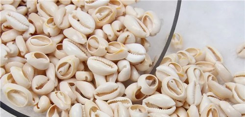 Prezzo ribassato conchiglie - prezzo, ribassato!